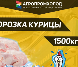 Компания Ленптица, г. Санкт-Петербург, подморозка и заморозка курицы