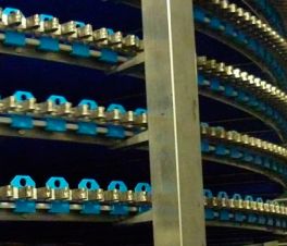 ОАО "КВЭН" (камера заморозки крабовых палочек)