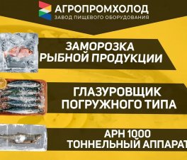 Русский минтай, г. Владивосток, дефростация, заморозка и глазировка филе минтая